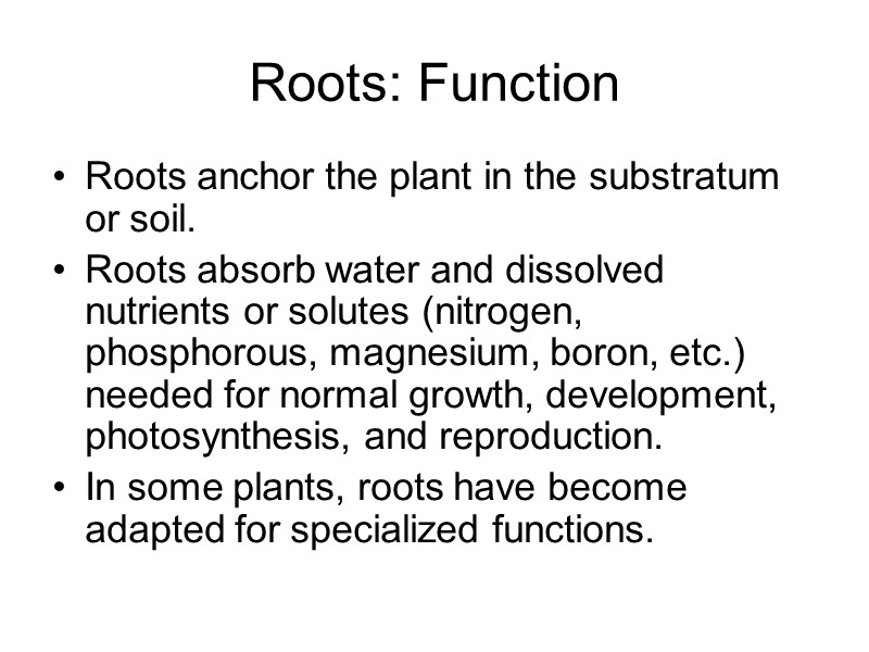 Roots: Function Roots anchor the plant in the substratum or soil.  Roots absorb